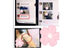 尺度照片流出家庭背景不简单：经不起查开元